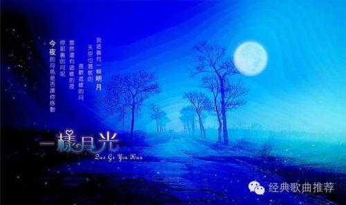 一样的月光,心灵相通的浪漫之旅